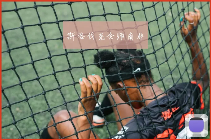 斯洛伐克会师南非