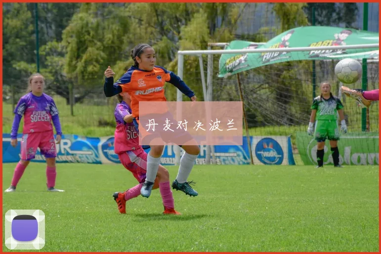 丹麦对决波兰