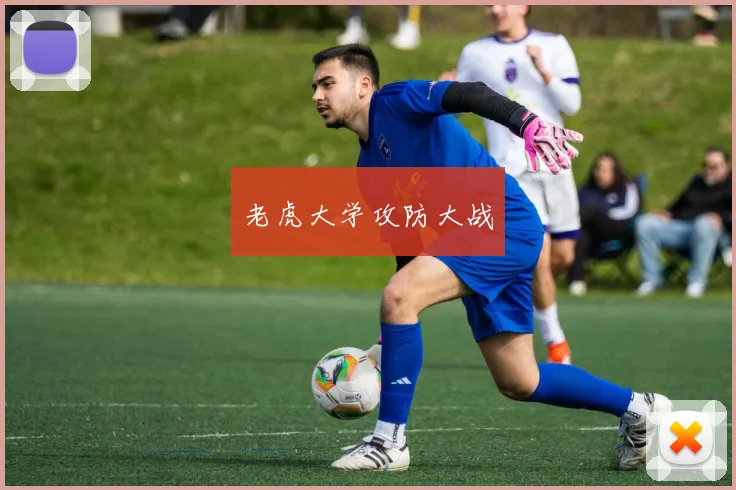 老虎大学攻防大战