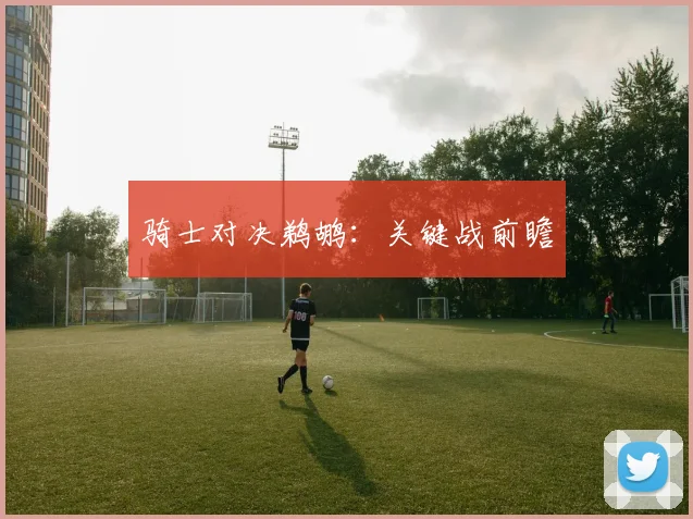 骑士对决鹈鹕：关键战前瞻