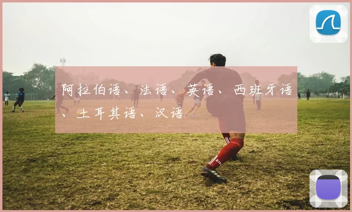 阿拉伯语、法语、英语、西班牙语、土耳其语、汉语