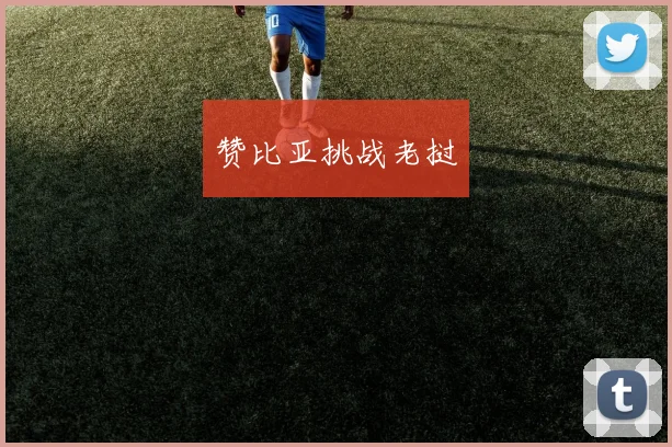 赞比亚挑战老挝