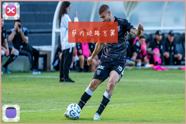 萨内边路飞翼