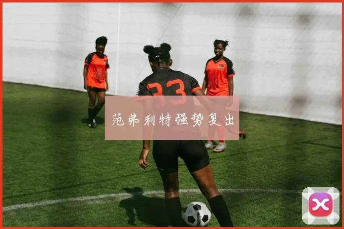 范弗利特强势复出