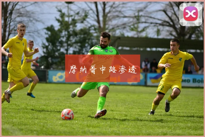 摩纳哥中路渗透