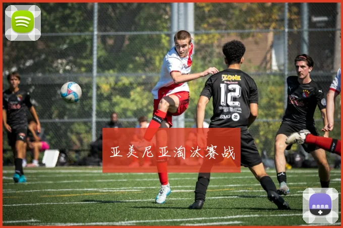 亚美尼亚淘汰赛战