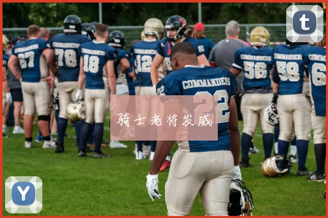 骑士老将发威