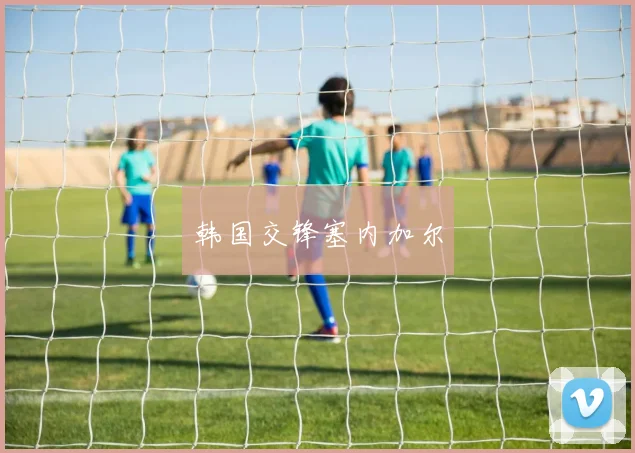 韩国交锋塞内加尔