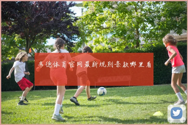 韦德体育官网最新规则条款哪里看