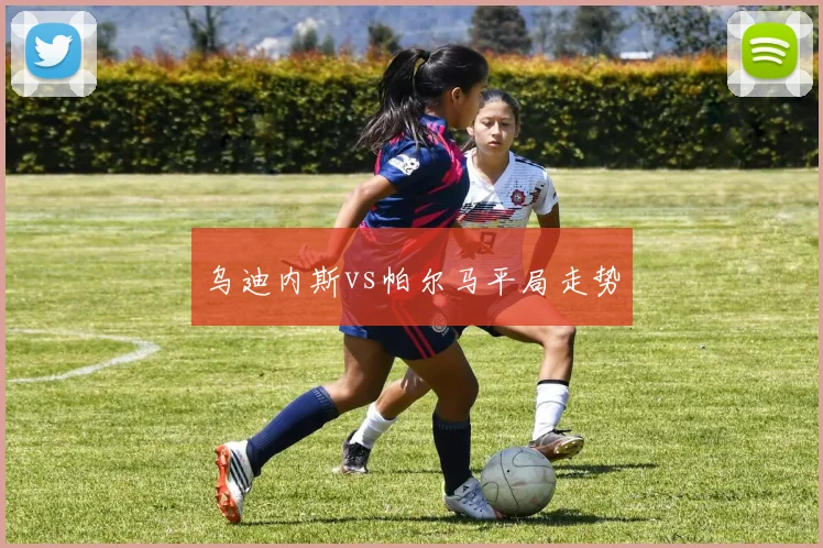 乌迪内斯vs帕尔马平局走势