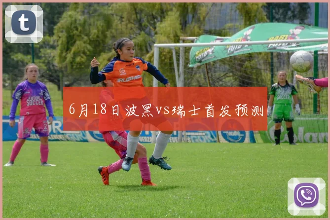 6月18日波黑vs瑞士首发预测